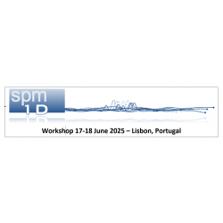 Statistical Parametric Mapping