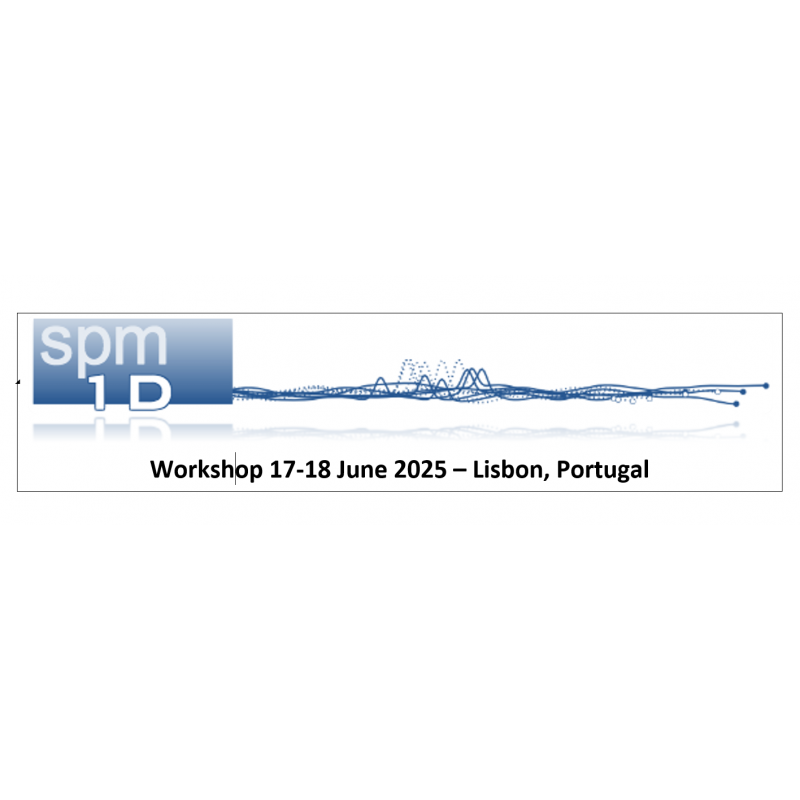 Statistical Parametric Mapping